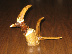 • Meet Woody Antlerpecker, creation of a deer hunter with a sense of whimsy, a saw, a file and a bottle of glue. It’s a worthy desk ornament.  And it cost $10 at an auction.
